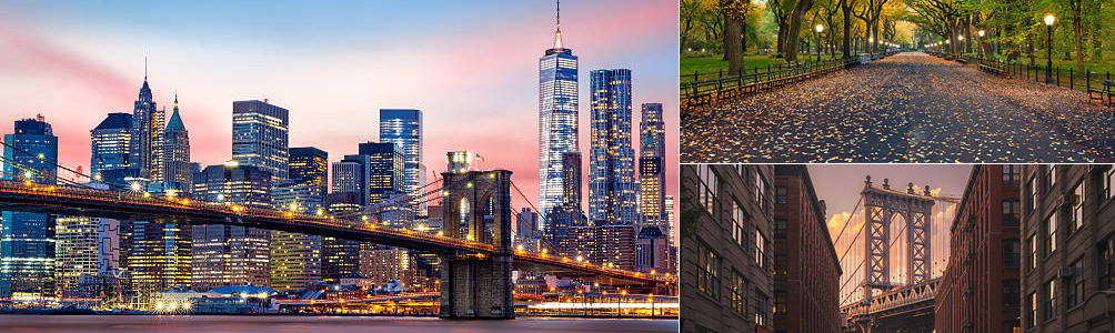 New York City Guide